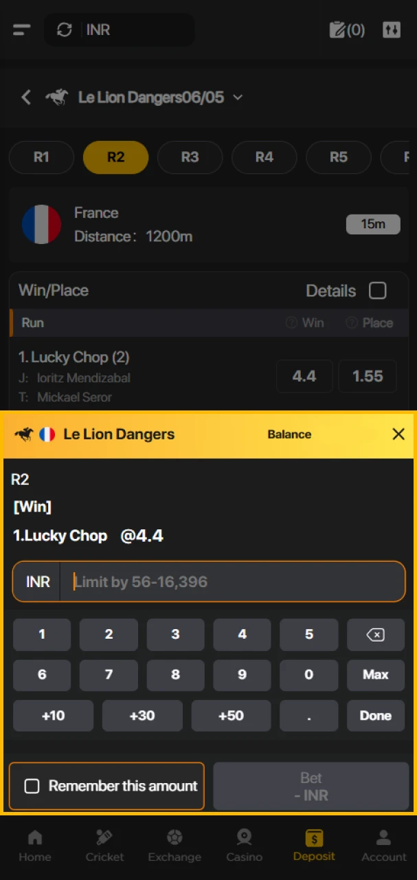 Enter the stake amount and place your bet at 96in bookmaker.