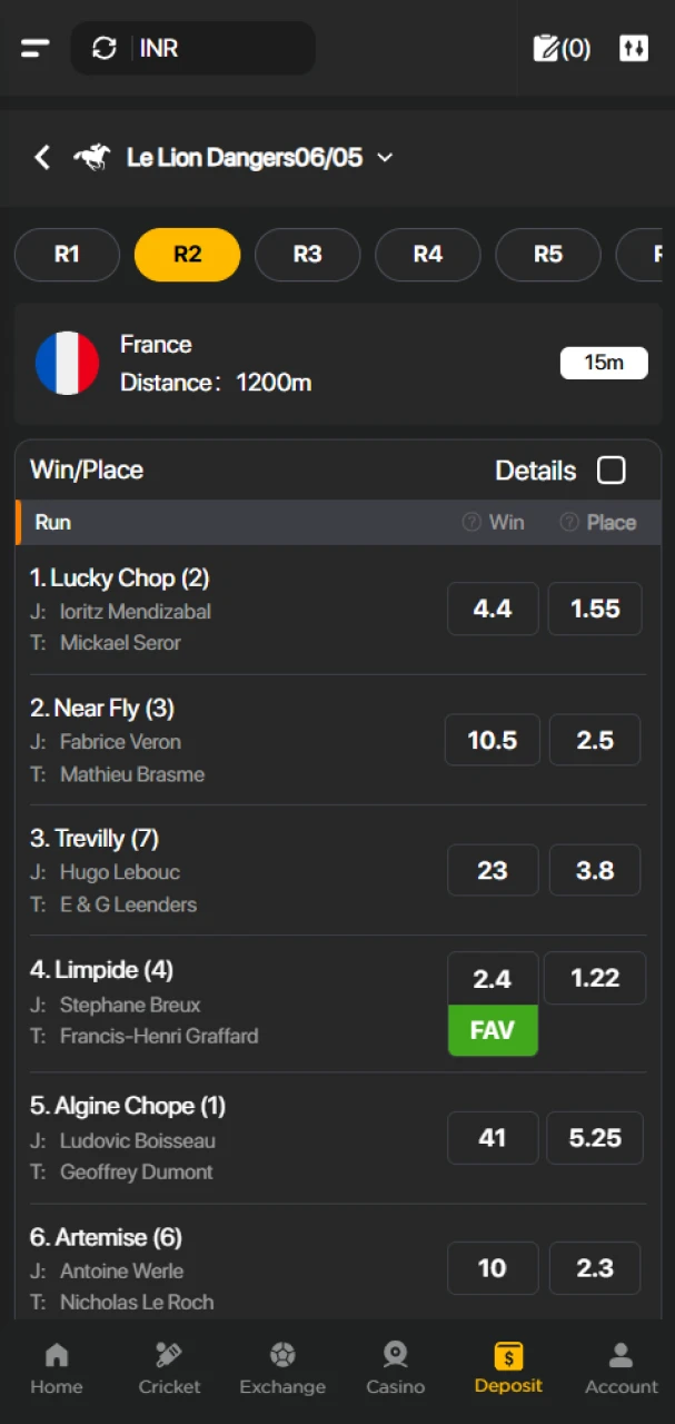 Choose the horse racing event you want to bet on at 96in.