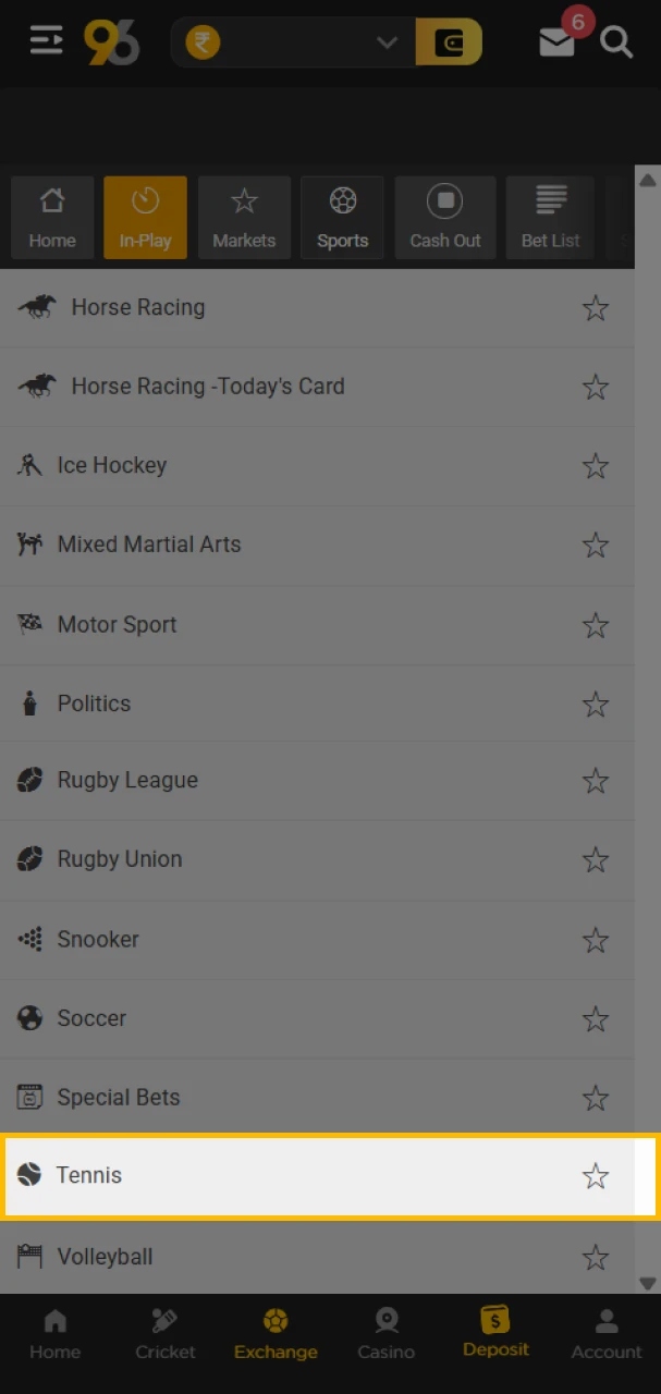 Open the Sports section of the 96in website and search for tennis.